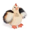 Image de Peluche poule beige 20CM - HISTOIRE DOURS - Jouet bébé - Intérieur - Naissance