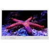 Image de 32DMD22HW-TELE LED 82cm sur batterie Blanc