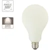 Image de Ampoule déco éclairante opaline - XANLITE - Globe - LED - Blanc neutre - 12W cons. (100W eq.)