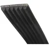 Image de Courroie élastique - INDESIT - 1920H8 - 8 dents