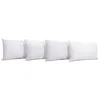 Image de Lot de 4 oreillers Natura 45x70 cm Duvet & Plumess