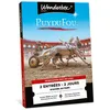 Image de Wonderbox Connect - Coffret cadeau - Puy Du Fou - 2 jours en duo - 2 entrées - Valable tous les jours douverture du parc