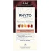 Image de Coloration permanente - PHYTOCOLOR 6.66 - Brun Cerise Clair Intense - Sans ammoniaque - Gel 4 unités