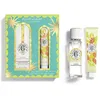 Image de Coffret Fleur d' Osmanthe 2 pièces