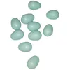 Image de 10 oeufs artificiel en plastique ø 1.6 cm pour canari - animallparadise