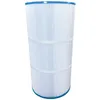 Image de Filtre piscine JB100 Gota Pure compatible Waterair Jacuzzi CFR100