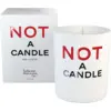 Image de Juliette has a gun Geurkaars Classic Collection Not a Candle - 180 gr