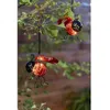 Image de Coccinelle solaire clipsable - GALIX - Luminaires solaires - Métal/verre - 2 Lumens - 8h déclairage