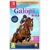Image de RÃ©ussir : Galops 1 Ã 7 Switch en occasion ou reconditionné