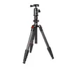 Image de Starblitz ZTSC215