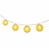 Image de Guirlande solaire Lindy 10 ampoules et corde 20 lumens