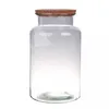 Image de Terrarium Bose 30cm - Bouchon Liège