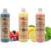 Image de Lot de 3 Solutions nettoyantes Eziclean® pour nettoyeur haute pression