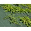Image de Toile de paillage - Vert - 130gr/m² - Plié 2.10m x 100m Vert