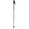 Image de Bâton de ski Elan Ripstick - green