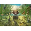 Image de Puzzle - SCHMIDT - Labrador chocolat à la baignade - 1000 pièces - 69.3 x 49.3 cm - Pour adultes