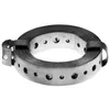 Image de GAH-Alberts BANDE 20X1 TROU 65-4 L3m GALVA.SEN 