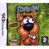 Image de SCOOBY-DOO Qui regarde qui ? / NDS