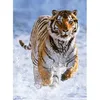 Image de Puzzle 500 pièces - RAVENSBURGER - Tigre dans la neige - 49 x 36 cm - Thème Animaux - Dès 10 ans