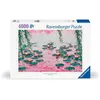 Image de 4000 p Les nénuphars roses