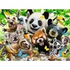 Image de Puzzle 300 pièces XXL : Le selfie des animaux sauvages