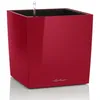 Image de Kit Complet - LECHUZA - Cube Premium 30 - Rouge Scarlet Brillant - 30 cm - Réserve deau 3 L