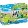 Image de Country Cavalière avec poney gris
