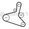 Image de CONTITECH Kit courroie daccessoire 6DPK1195K1