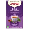 Image de Yogi Tea bio éclat de la jeunesse 17 sachets 30g
