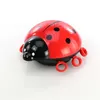 Image de ANSMANN Veilleuse de nuit Coccinelle