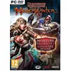 Image de Donjons & Dragons- Neverwinter PC en occasion ou reconditionné
