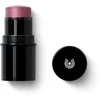 Image de Dr. Hauschka Blush Lip To Cheek 03 Rosewood 6.gr - 1 pièces