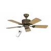 Image de Ventilateur de plafond DC Eco Elements MA classique 103 Cm Laiton antique pales Chêne vieilli / Hêtre télécommande CASAFAN