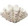 Image de Vase décoratif - KARE - Concha - 29 cm - Beige - Style contemporain