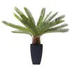 Image de Plante décorative Cycas 78cm Kare Design