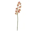 Image de Plante de décoration - EUROPALMS 61383 - Crème/Rose - 90 cm - Élégante et Chic
