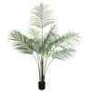 Image de PALMIER Areca Palm with big leaves 185cm