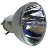 Image de Ampoule de remplacement - OSRAM - P-VIP 240/0.8 E20.9N - Durée de vie de la lampe 4000h