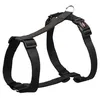 Image de Harnais - Premium - XL-XXL - Réglable - Noir - 85-130 cm/38 mm