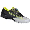 Image de Chaussures de Trail Running - DYNAFIT - FELINE SL - Alliage Noir - Mixte - Usage Intensif