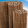 Image de Sol Royal Canisse en Saule SolVision W79 500x160 cm haie Brise-Vue Brande pour Jardin terrasse Balcon Protection Regards Vent