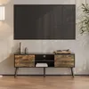 Image de Meuble TV Eskilstuna 120 x 30 x 47 cm Noir Bois Foncé - EN.CASA - Contemporain - Design - A monter soi-même