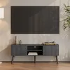 Image de Meuble TV Eskilstuna 120 x 30 x 47 cm Gris Foncé Noir - EN.CASA - Meuble de salon - Contemporain - Design