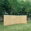 Image de Canisse en roseau Abbateggio 100 x 600 cm naturel