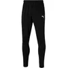 Image de Pantalon Puma Liga training