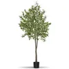 Image de Plante artificielle - TECTAKE - Olivier artificiel OLEAND à laspect naturel volumineux et entretien facile hauteur 180 cm - Vert