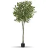 Image de Plante artificielle - TECTAKE - Olivier artificiel OLEAND à laspect naturel volumineux et entretien facile hauteur 210 cm - Vert