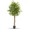 Image de Plante artificielle - TECTAKE - Ficus artificiel FIDA à laspect naturel volumineux et entretien facile hauteur 180 cm - Vert