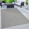 Image de Paco Home Tapis Extérieur Balcon Terrasse Tapis Cuisine Uni Motif Moucheté Gris 120 cm rond