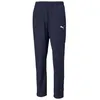 Image de Pantalon Puma Teamrise Sideline 65732706